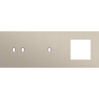 afdekplaat drievoudig horizontaal 71mm voor 1 tweevoudig en 1 enkelvoudig schakelfunctie , 1 functie 45 x 45 toggle steel champagne coated (166)