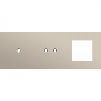 afdekplaat drievoudig horizontaal 71mm voor 1 enkelvoudig en 1 tweevoudig schakelfunctie, 1 functie 45 x 45 toggle steel champagne coated (166)