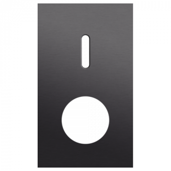 plaque de recouvrement double verticale 60mm pour 1 fonction simple commutation et 1 prise rocker alu black brushed (code 224)