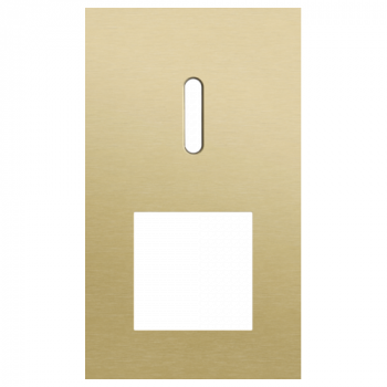 plaque de recouvrement double verticale 60mm pour 1 fonction simple commutation et 1 fonction 45 x 45 rocker alu gold brushed (code 227)