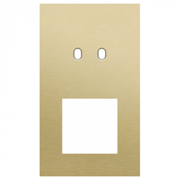 afdekplaat tweevoudig verticaal 60mm voor 1 tweevoudig schakelfunctie, 1 functie 45 x 45 toggle alu gold brushed (227)