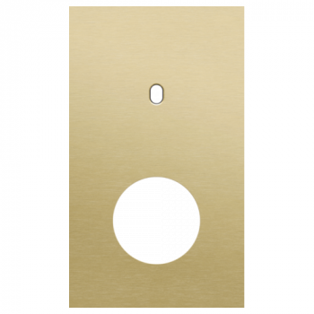 afdekplaat tweevoudig verticaal 60mm voor 1 enkelvoudig schakelfunctie, 1 stopcontact toggle alu gold brushed (227)