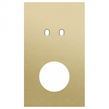 plaque de recouvrement double vertical 60 mm pour 1 fonction double commutation et pour une prise toggle alu gold brushed (227)