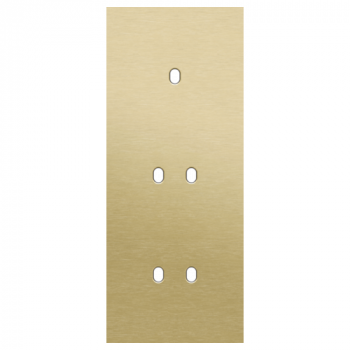 NIKO afdekplaat drievoudig verticaal 60mm voor 1enkelvoudig en twee tweevoudige schakelfuncties toggle alu gold brushed (227)