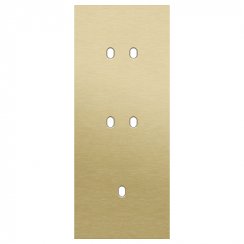 afdekplaat drievoudig verticaal 60mm voor 2 tweevoudig en 1 enkelvoudig schakelfuncties toggle alu gold brushed (227)