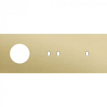 afdekplaat drievoudig horizontaal 71mm voor 1 stopcontact en 1 tweevoudig en 1 enkelvoudig schakelfunctie toggle alu gold brushed (227)