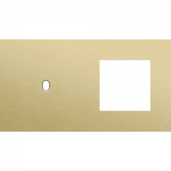afdekplaat tweevoudig horizontaal 71 mm voor 1 enkelvoudig schakelfunctie en 1 functie 45 x 45 toggle alu gold brushed (227)
