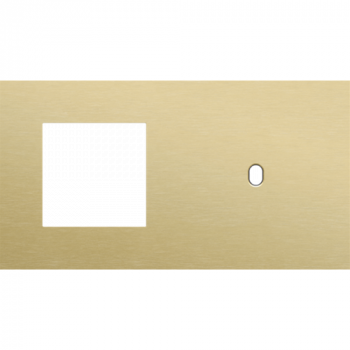 afdekplaat tweevoudig horizontaal 71 mm voor 1 functie 45 x 45 en 1 enkelvoudig schakelfunctie toggle alu gold brushed (227)