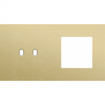 plaque de recouvrement double horizontale 71mm pour 1 fonction double commutation et 1 fonction 45 x 45 toggle alu gold brushed (227)