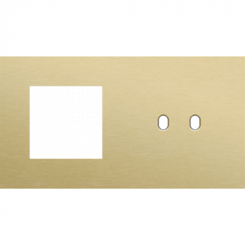 plaque de recouvrement double horizontale 71mm pour 1 fonction 45 x 45 et 1 fonction double commutation toggle alu gold brushed (227)