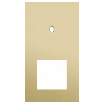 afdekplaat tweevoudig verticaal 71mm voor 1 enkelvoudig schakelfunctie en 1 functie 45 x 45 toggle alu gold brushed (227)