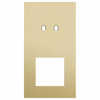 plaque de recouvrement double vertical 71mm pour 1 fonction double commutation et 1 fonction 45 x 45 toggle alu gold brushed (227)