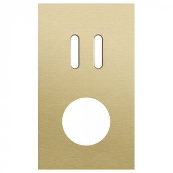plaque de recouvrement double verticale 60mm pour 1 fonction double commutation et pour 1 prise rocker alu gold brushed (code 227)