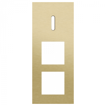 afdekplaat drievoudig verticaal 60mm voor 1 enkelvoudig schakelfunctie en 2 functies 45 x 45 rocker alu gold brushed (227)