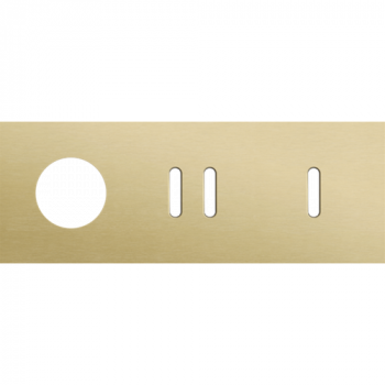 afdekplaat drievoudig horizontaal 71mm voor 1 stopcontact, 1 tweevoudig schakelfunctie en 1 enkelvoudig schakelfunctie rocker alu gold brushed (code 227)