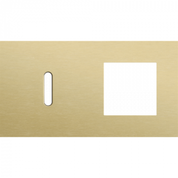 plaque de recouvrement double horizontale 71mm pour 1 fonction simple commutation et 1 fonction 45 x 45 rocker alu gold brushed (code 227)