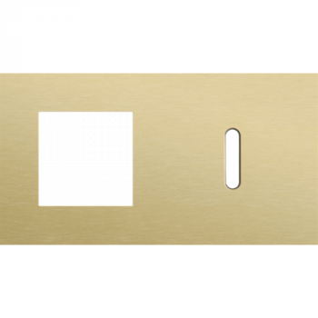 afdekplaat tweevoudig horizontaal 71 mm voor 1 functie 45 x 45 en 1 enkelvoudig schakelfunctie rocker alu gold brushed (227)