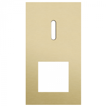 plaque de recouvrement double verticale 71mm pour 1 fonction simple commutation et 1 fonction 45 x 45 rocker alu gold brushed (code 227)