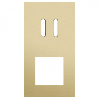 plaque de recouvrement double verticale 71mm pour 1 fonction double commutation et 1 fonction 45 x 45 rocker alu gold brushed (code 227)