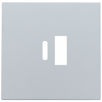 NIKO niko afwerkingsset voor dubbele smart usb-a en usb-c lader intense sterling coated (121)