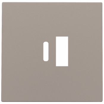 niko set de finition pour double chargeur usb-a et usb-c bronze coated (123)