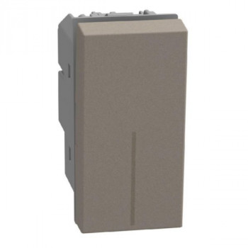 BTICINO light now tweepolige schakelaar 16ax 1module stone