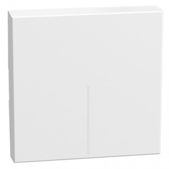 light now touche pour commande 2 modules blanc