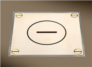 arpi prise de sol ip64 - 2 x rj45 cat 6 utp polished brass (23)