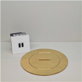arpi prise de sol pour raccordement usb c + c brushed brass (06)