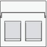 niko centraalplaat data voor 2 rj outlets white (101)